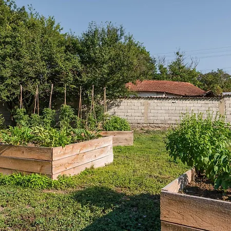 Villa Augusta's Authentic Pchelnik (Varna)